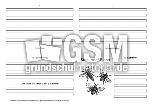 Biene-Faltbuch-vierseitig-2.pdf